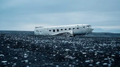 PEA supplement capsules alongside scientific research papers