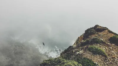 Thumbnail for Vitamin E: 10 Benefits, Side Effects & 9 Precautions