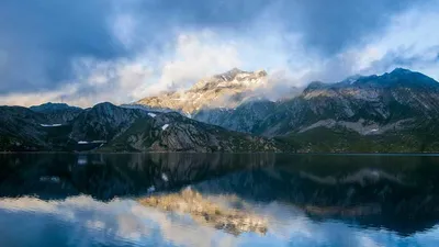 Vitamin C: 19 Benefits, Side Effects & 13 Precautions