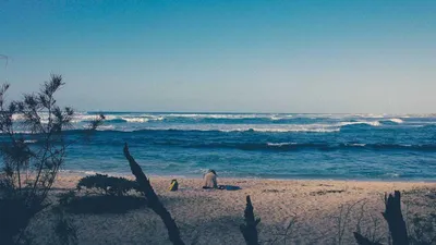 Thumbnail for Lumbrokinase: 3 Benefits, Side Effects & 2 Precautions