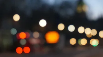 Thumbnail for Policosanol: 3 Benefits, Side Effects & 4 Precautions