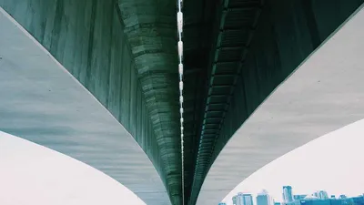 Valerian: 3 Benefits, Side Effects & 11 Precautions