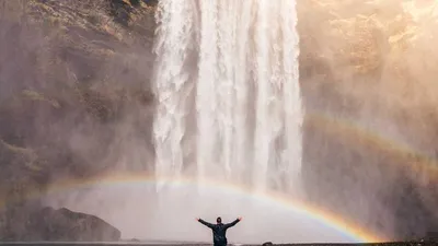 Thumbnail for 3 supplements for haemorrhoids: what the research actually shows