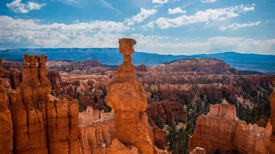 Thumbnail for 3 supplements for male fertility: what the research actually shows