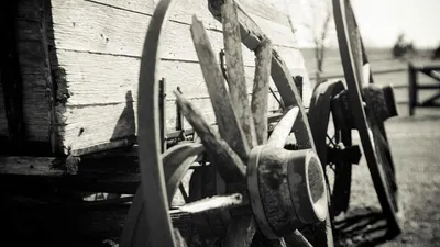 Thumbnail for 3 supplements for vision health: what the research actually shows