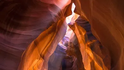 Thumbnail for 3 supplements for eczema: what the research actually shows