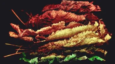 Vitamin D: comprehensive guide to benefits, side effects, and precautions