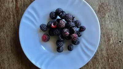 Bowl of fresh acai berries with a deep purple colour