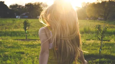 African mango fruit and seeds displayed on a natural surface