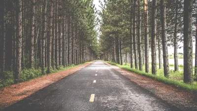 Thumbnail for Fisetin: 4 Benefits, Side Effects & 3 Precautions