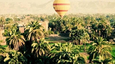 4 Benefits and Side Effects of Niacin (Vitamin B3)