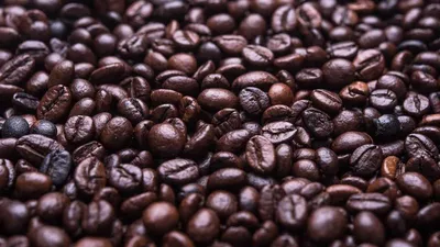 St. John's Wort: 4 Benefits, Side Effects & Precautions