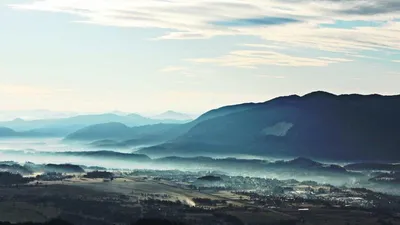 4 Myths About Vitamin C Overdose: What the Evidence Shows