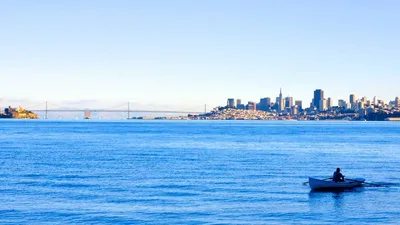 Thumbnail for 5 Benefits and Side Effects of Pumpkin Seed Oil [Updated Dec/2022]