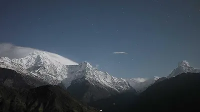 4 Supplements for Osteoporosis: What the Research Shows