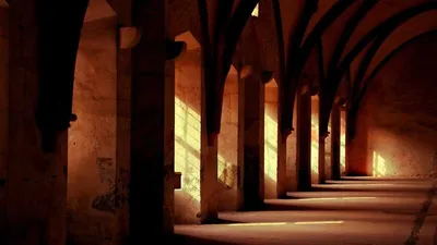 Beta Glucan: 5 Benefits, Side Effects & 5 Precautions