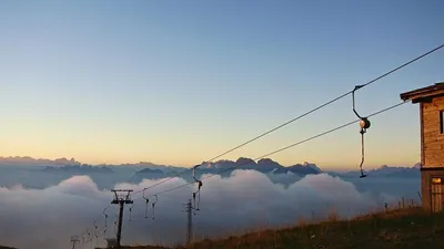 Konjac root and glucomannan powder supplement on a wooden surface