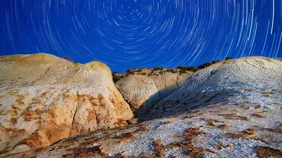Apples and citrus fruit, natural sources of pectin fibre
