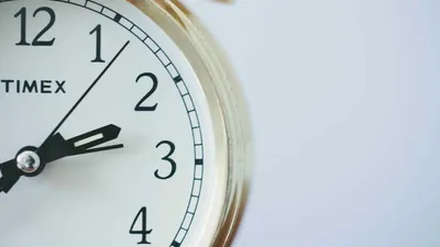 Fo-Ti: 5 Benefits, Side Effects & 13 Precautions