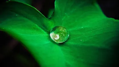 Taurine: 5 Benefits, Side Effects & Precautions