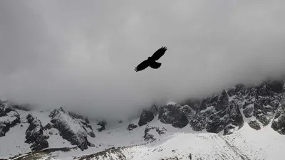 5 Benefits and Side Effects of Pomegranate [Updated Jan/2023]