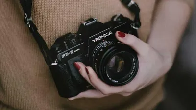 Feverfew: 5 Benefits, Side Effects & 4 Precautions