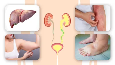 Flaxseed: 6 Benefits, Side Effects & 7 Precautions