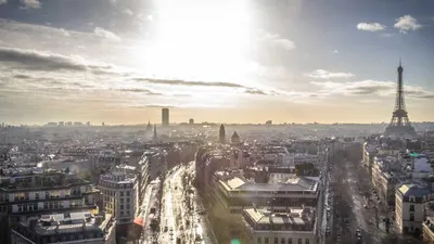 Milk Thistle: 7 Benefits, Side Effects & 4 Precautions