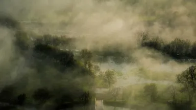 7 Benefits and Side Effects of Alpha Lipoic Acid (Plus 10 Safety Precautions)