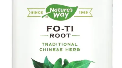 Ginkgo: 11 Benefits, Side Effects & 18 Precautions