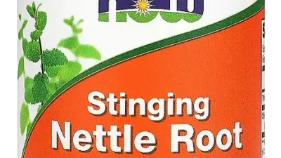 Cranberry: 7 Benefits, Side Effects & 6 Precautions