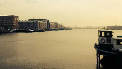 Thumbnail for 8 Common Questions About Fucoidan Supplements