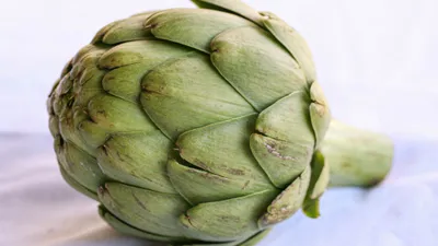 Pycnogenol (Pine Bark Extract): 11 Benefits, Side Effects & 7 Precautions