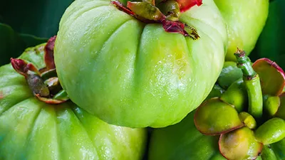 Thumbnail for BC Diet & Nutrition: Foods and Drinks for Bladder Health