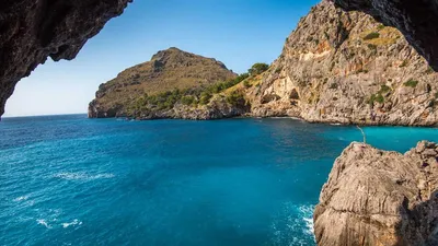 Thumbnail for Cystitis: Types, Causes, and Treatment Options