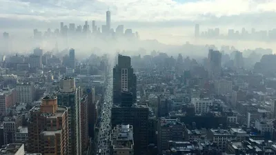 Thumbnail for Medical and Complementary Treatments for Bladder Conditions: What Works and What Doesn't