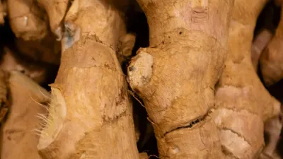 Fresh ginger root and sliced ginger pieces on a wooden surface