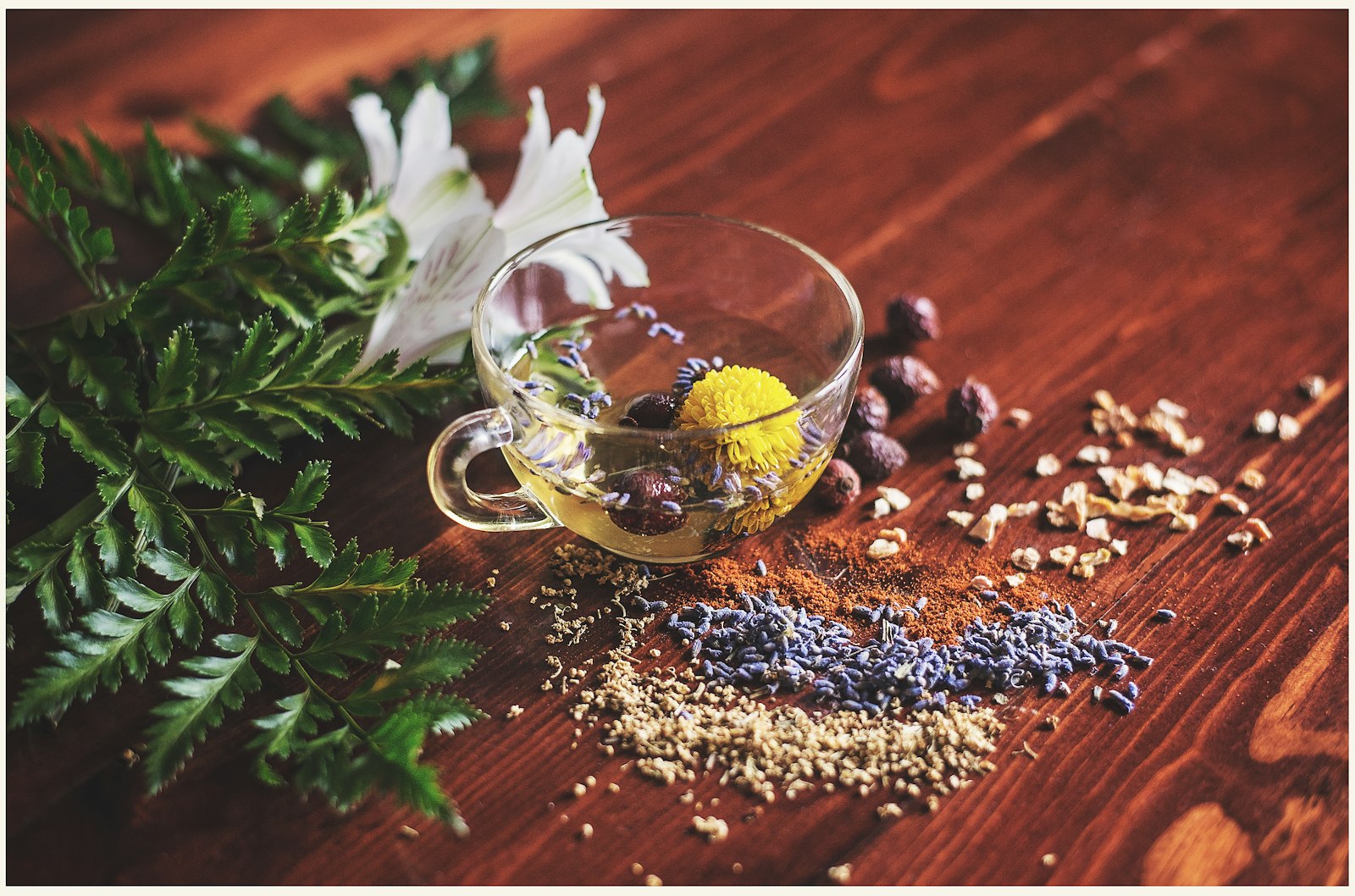 Two cups of herbal tea side by side, comparing horsetail and corn silk tea as natural diuretics