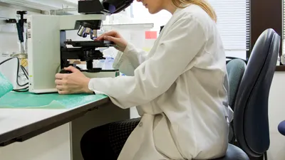 Scientist examining bacteriophage cultures in a research lab, the basis of phage therapy for UTI