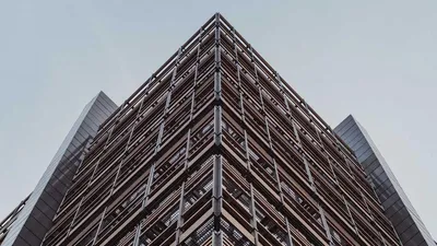 Chasteberry: 3 Benefits, Side Effects & 5 Precautions