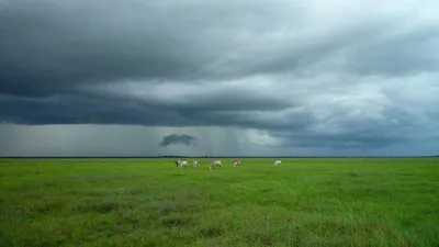 COB Foundation team and community members supporting bladder health awareness